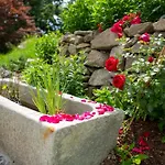 Premium Fuer 4 Personen Mit Grossem Garten 別荘 *