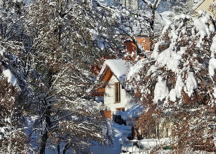 Prázdninový dům Premium Fuer 4 Personen Mit Grossem Garten *